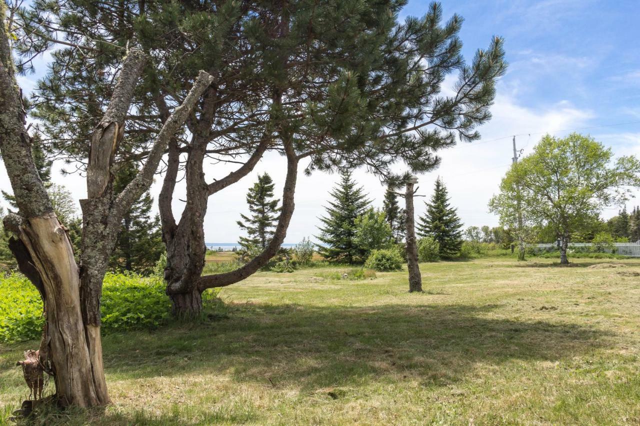 Fox Point Inn Parrsboro Εξωτερικό φωτογραφία