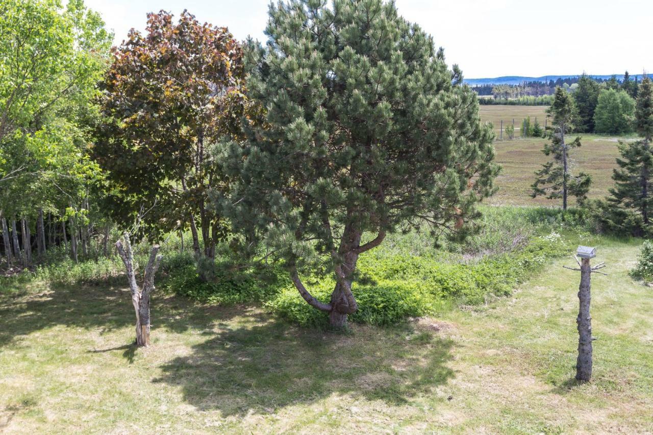 Fox Point Inn Parrsboro Εξωτερικό φωτογραφία